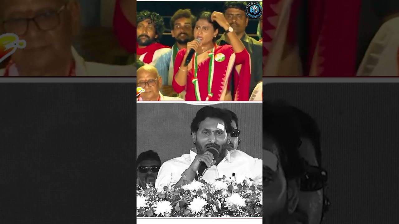 Sharmila Blasting Jagan | #shorts #shortsfeed #viralshorts #ysrcp  #tdp #telugu #chandrababu