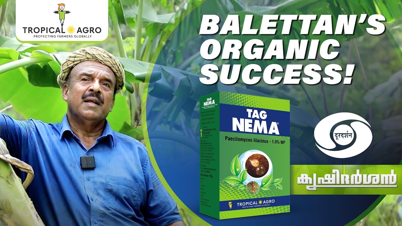 Balettan’s Inspiring Farm Story 🌱 | Sustainable Success with Tag Nema