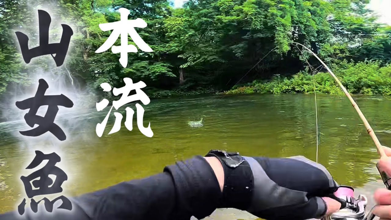 【渓流解禁間近】2025年岩手県本流釣行　未公開ヒットシーン集