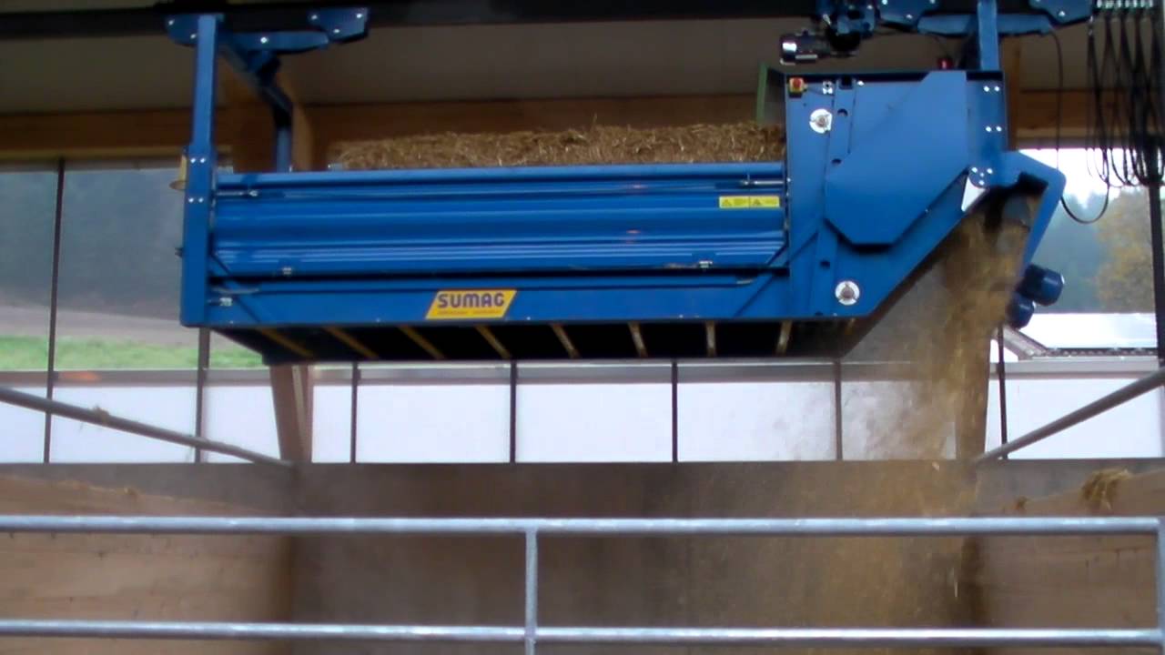 Stroh Einstreuen, Einstreuanlage, automatisch Einstreuen