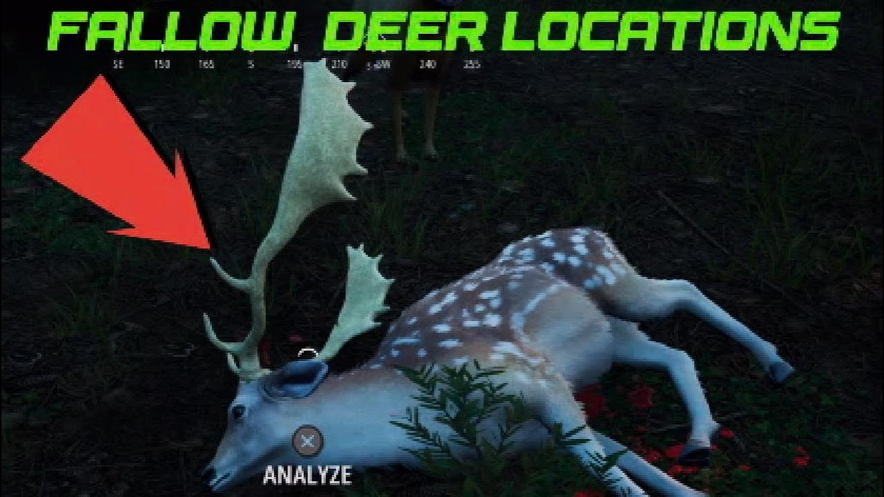 Fallow Deer Locations - Hunting Simulator 2