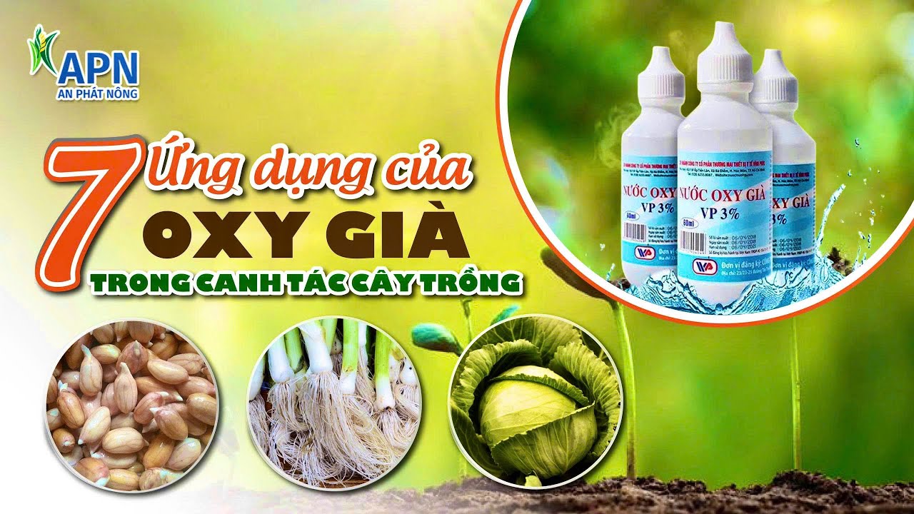 APN - 7 ỨNG DỤNG TUYỆT VỜI CỦA OXY GIÀ TRONG CANH TÁC CÂY TRỒNG