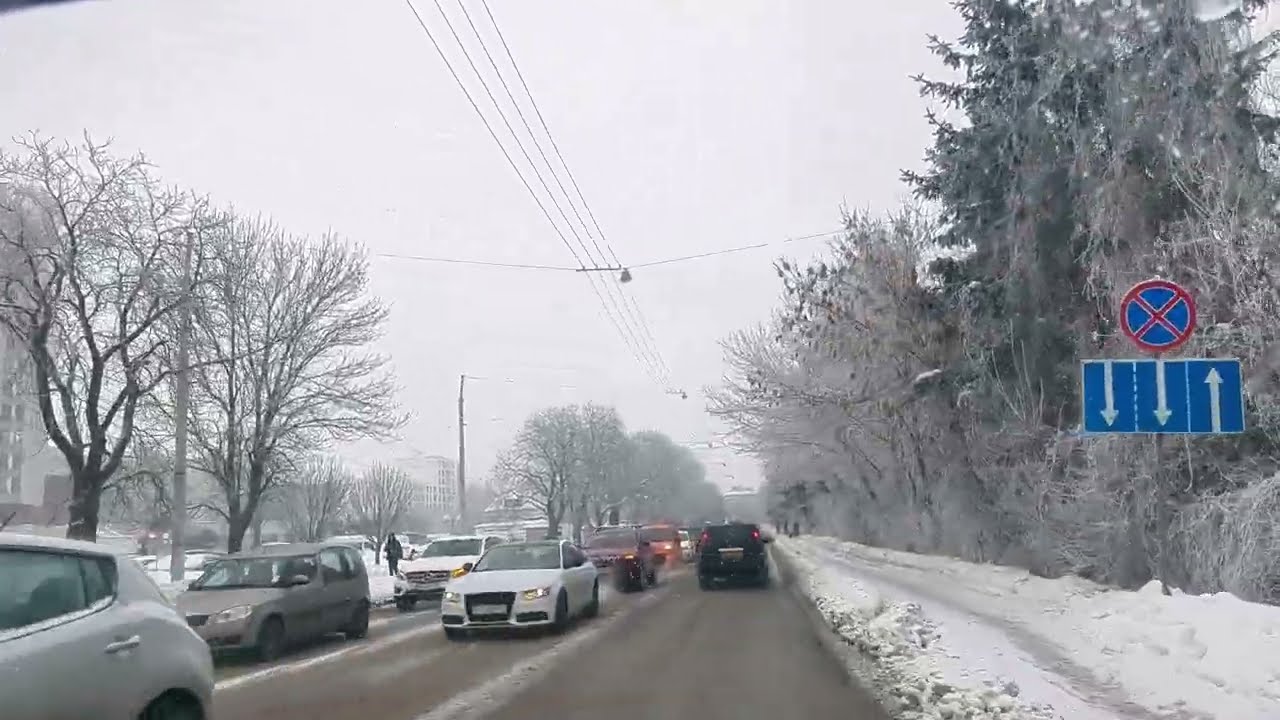 Коли сніг не зупиняє ❄️ Львівські вулиці крізь лобове скло