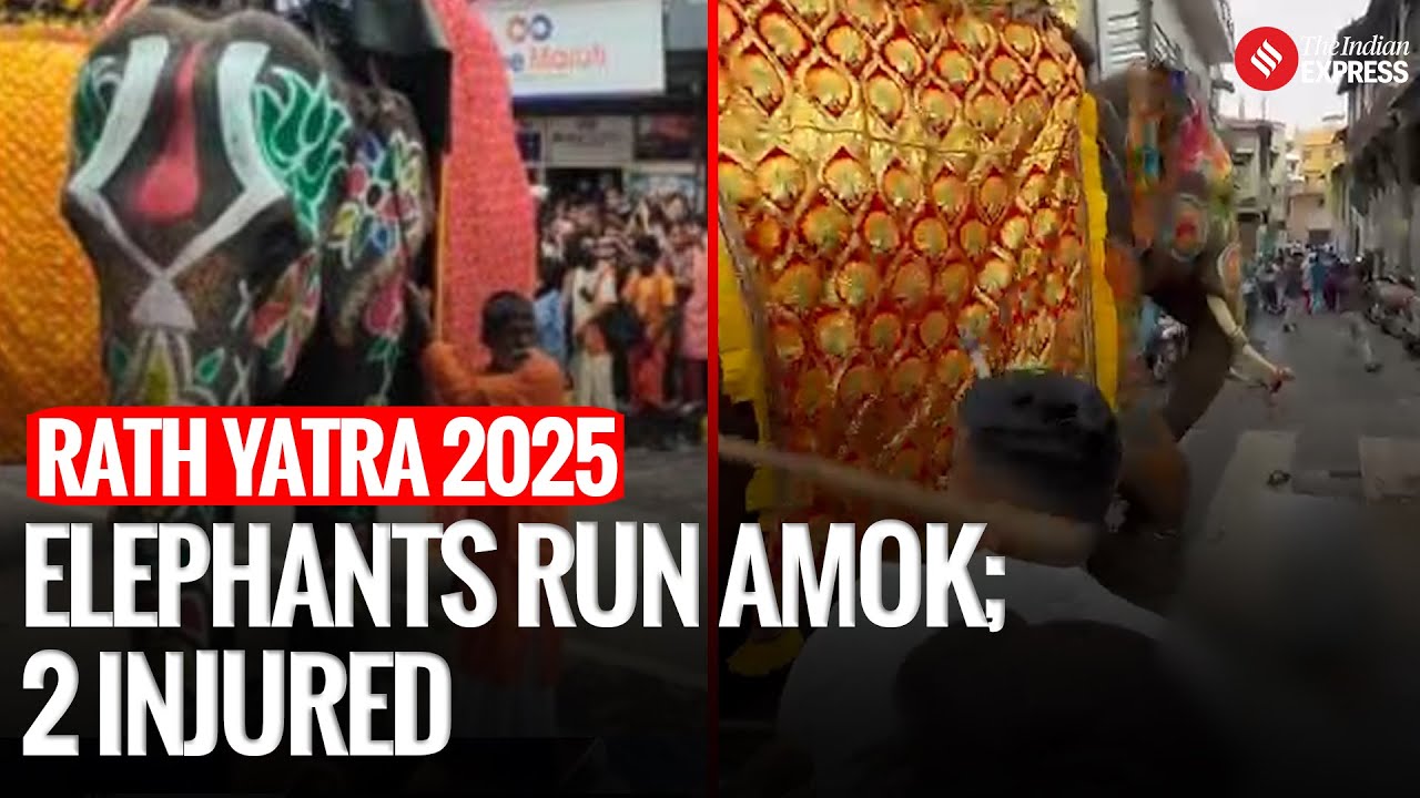 Chaos At Rath Yatra: Elephants Break Loose, Two Injured In Ahmedabad | Ahmedabad Rath Yatra