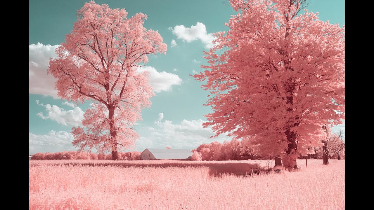 Editing Infrared Photos With Only Lightroom - Creating Enhanced Profiles