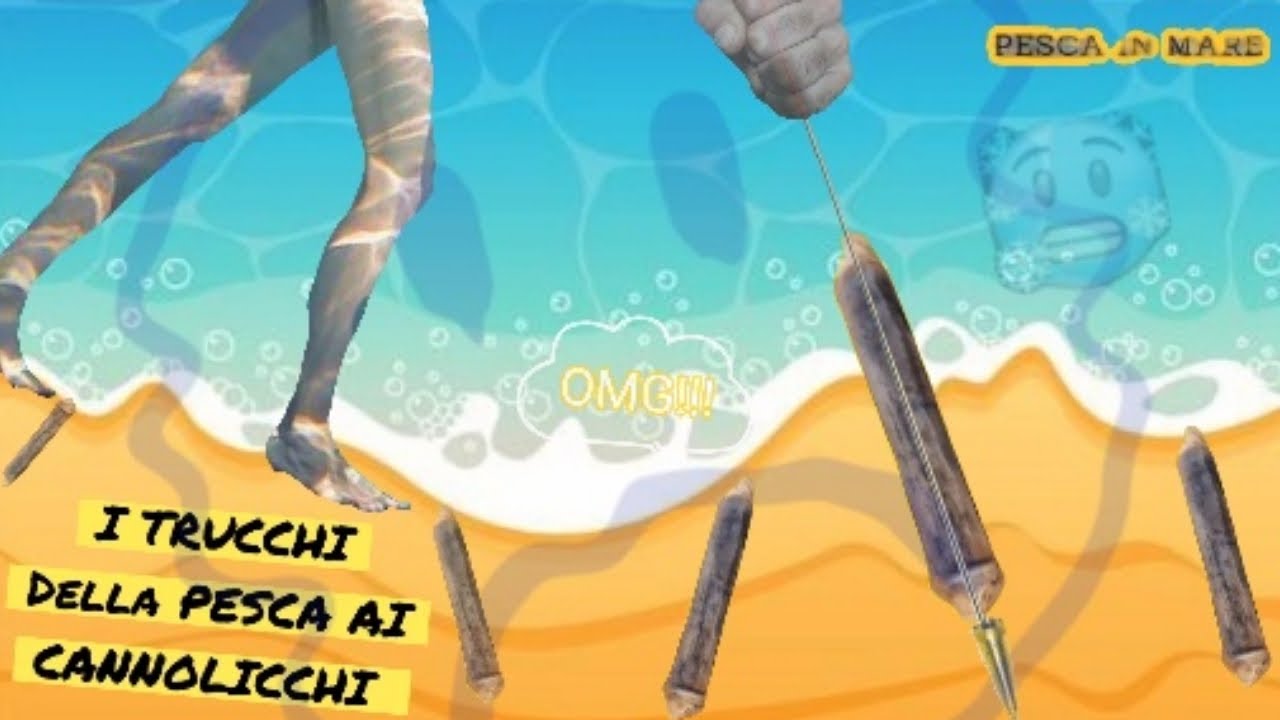 A caccia di Frutti di mare [cannolicchi]