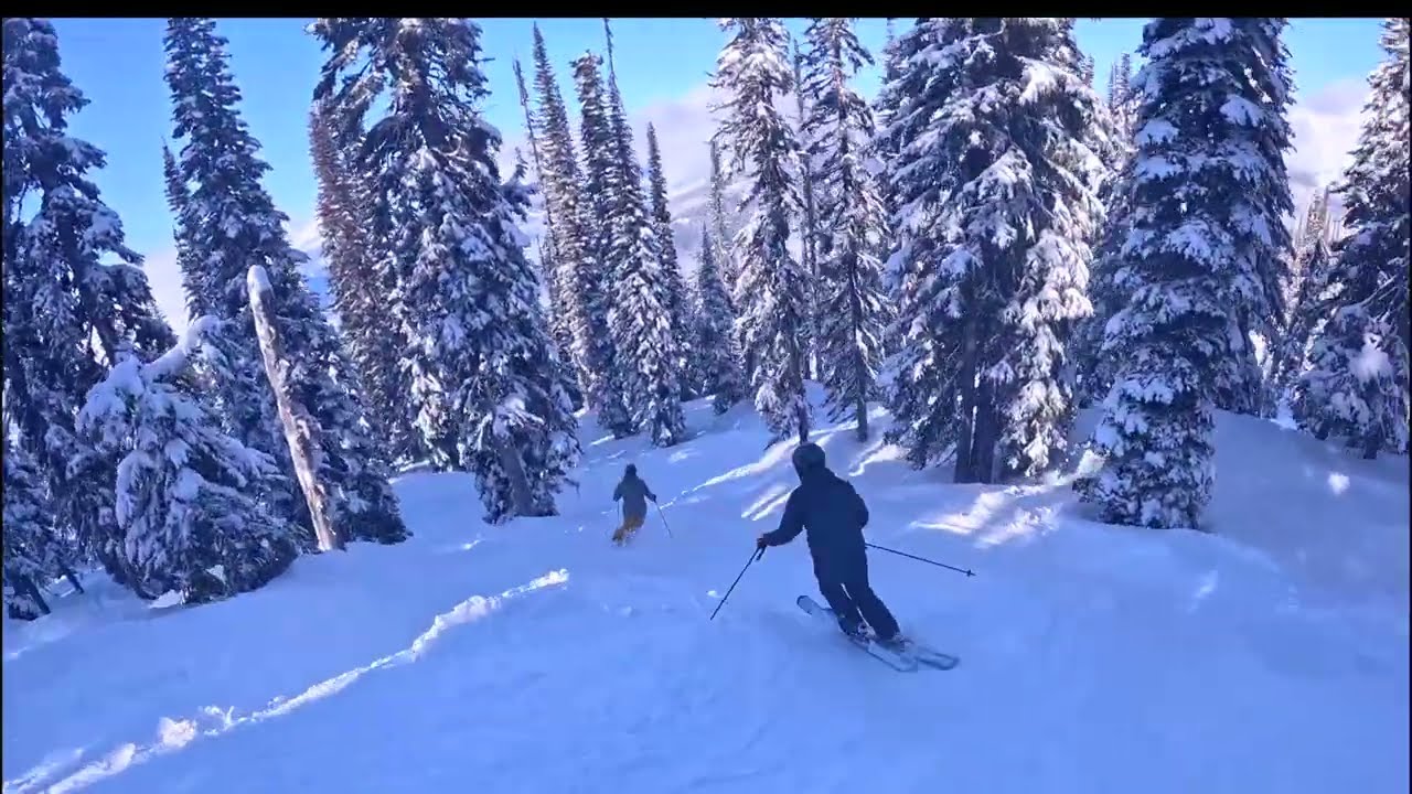 Sous Ma Peau - Revelstoke Skiing