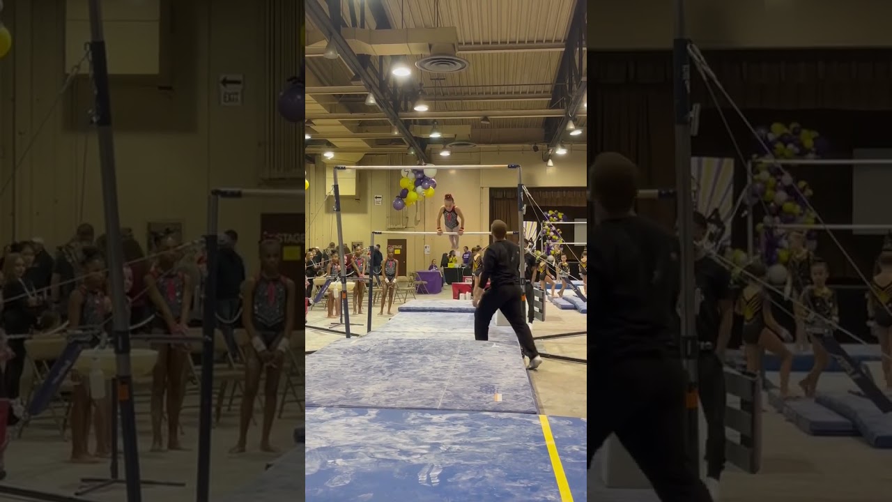 Level 6 bars (7.9)