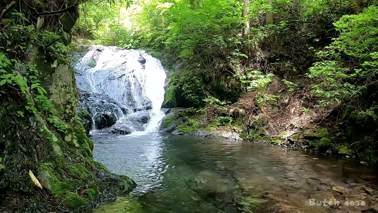 【531-42】【菅平の滝】【東京都 檜原村】 【ブッチの3分タッキング】【202306】【1080ｐ60fps】【Japan waterfalls】