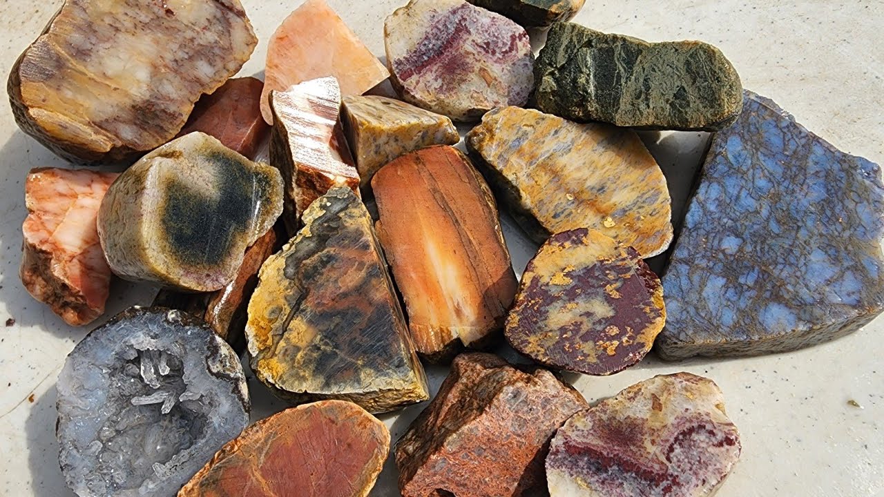 Rock saw! Limb cast, petrified wood and all sorts of colors 3.22.22