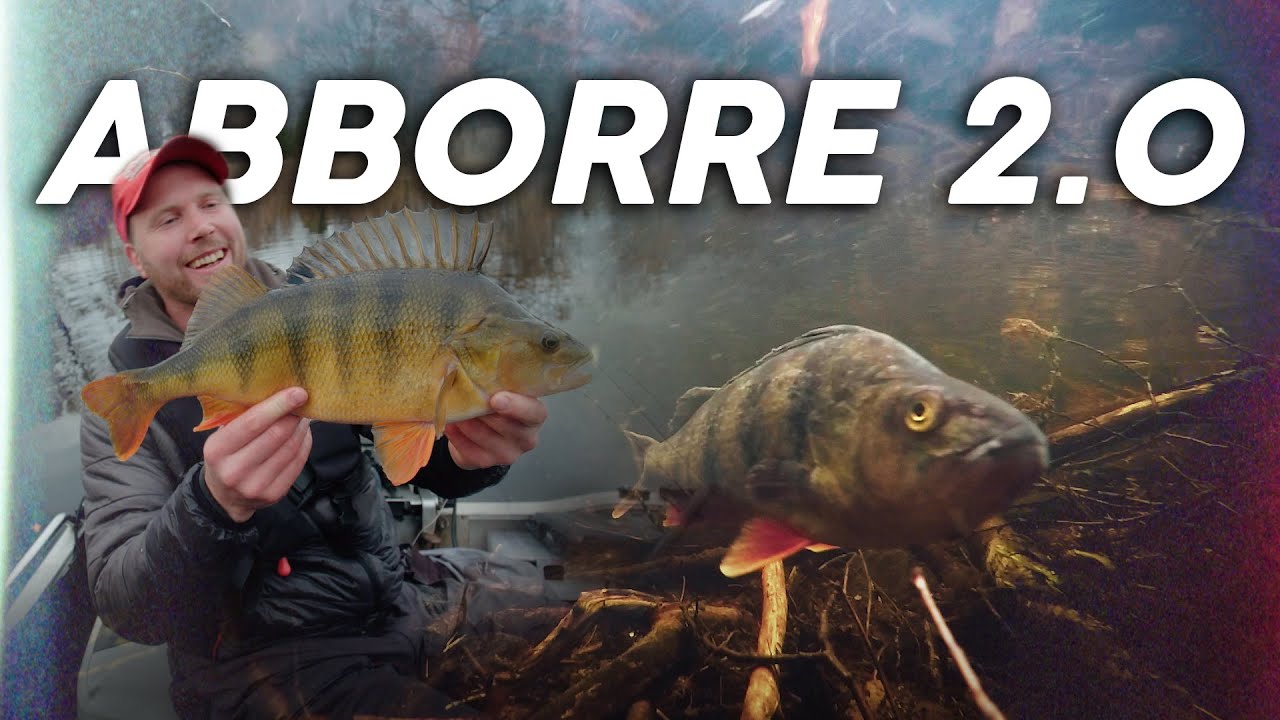 Perch 2.0
