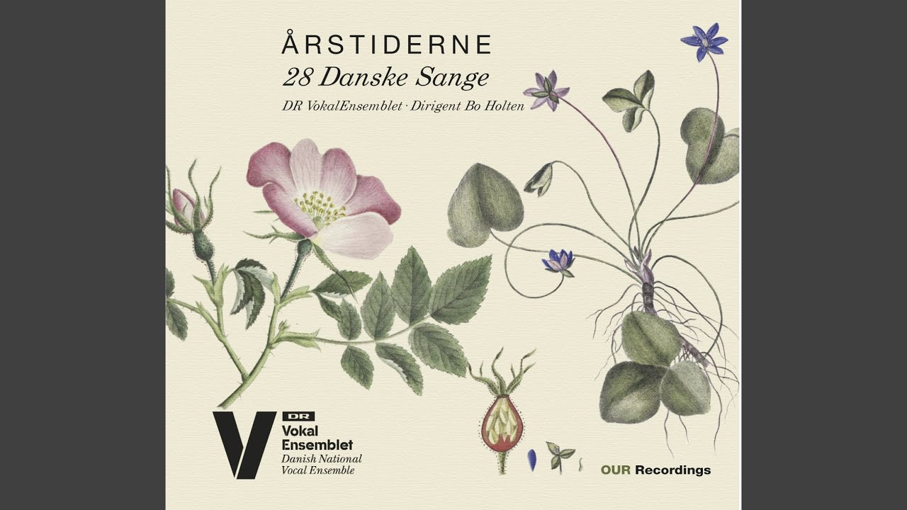 Det er hvidt herude (Arr. F. Viderø for Choir)