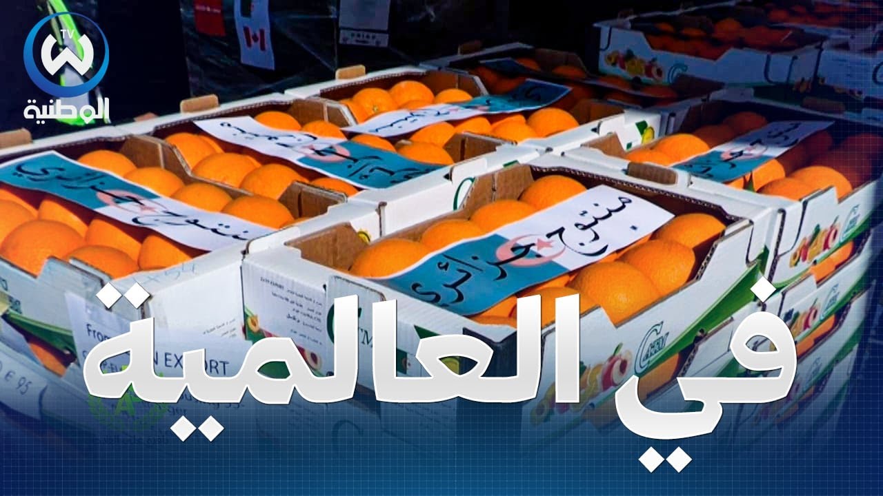 أول خط جوي مباشر لتصدير المنتجات الجزائرية الى السعودية