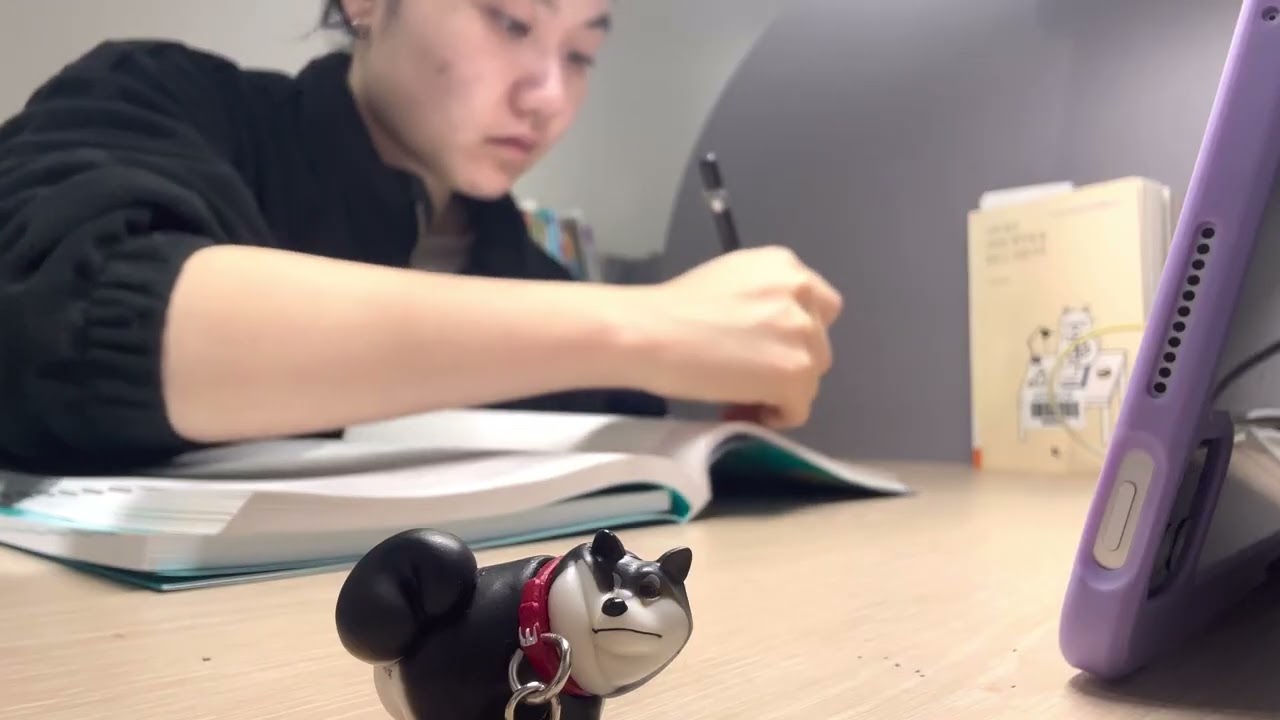 DAY38 STUDYㅣ이제 정말 연말이네~🎄ㅣ편입준비ㅣ수의대편입ㅣ공부하자💪