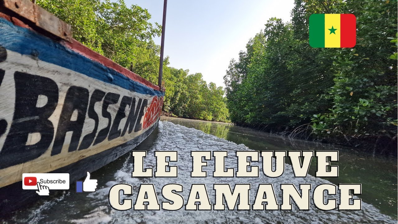 Ep.8 les bolongs et le fleuve Casamance