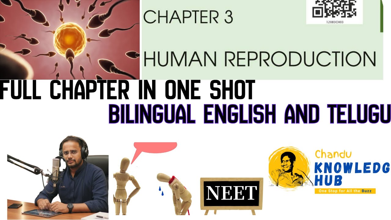 NEET Biology chapter series - Human reproduction in one shot ( bilingual English and Telugu)