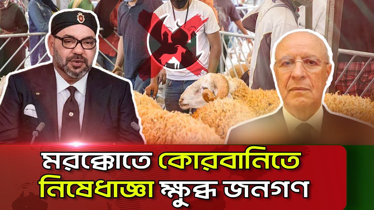 মরক্কোতে ঈদুল আজহায় কোরবানিতে নিষেধাজ্ঞা, ক্ষুব্ধ প্রতিক্রিয়া জনতার || Channel i News