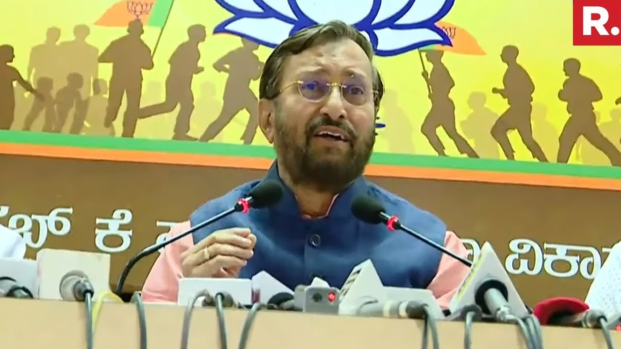 BJP Hits Back At Rahul Gandhi On Power Grab Plot