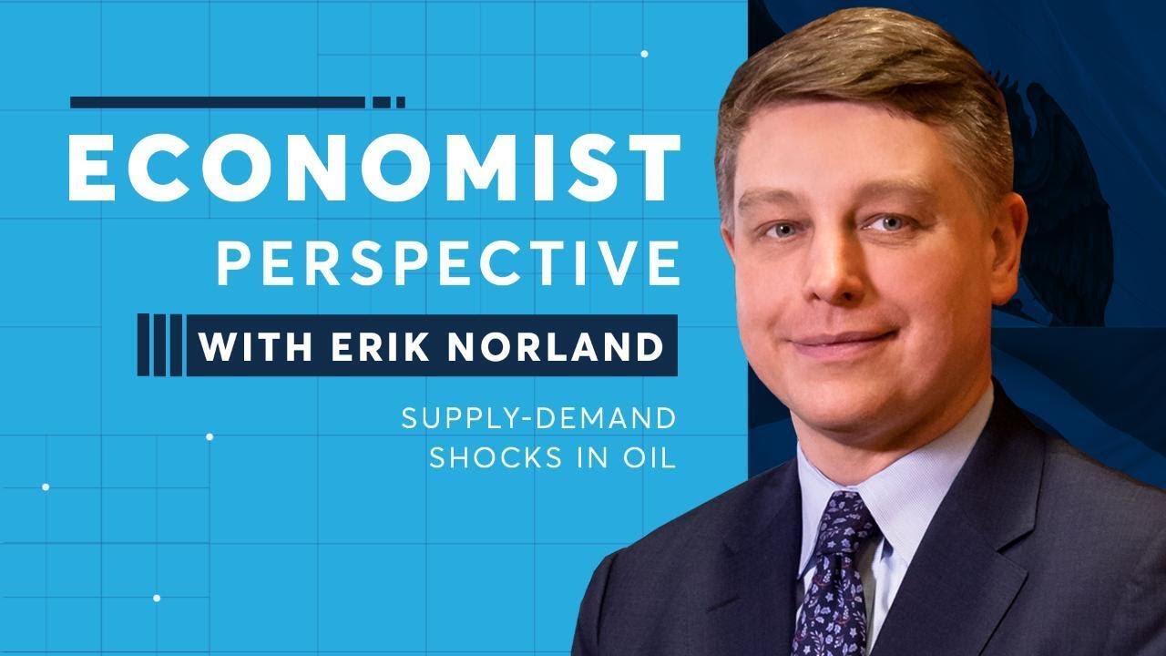 Economist Perspective: Supply-Demand Shocks in Oil