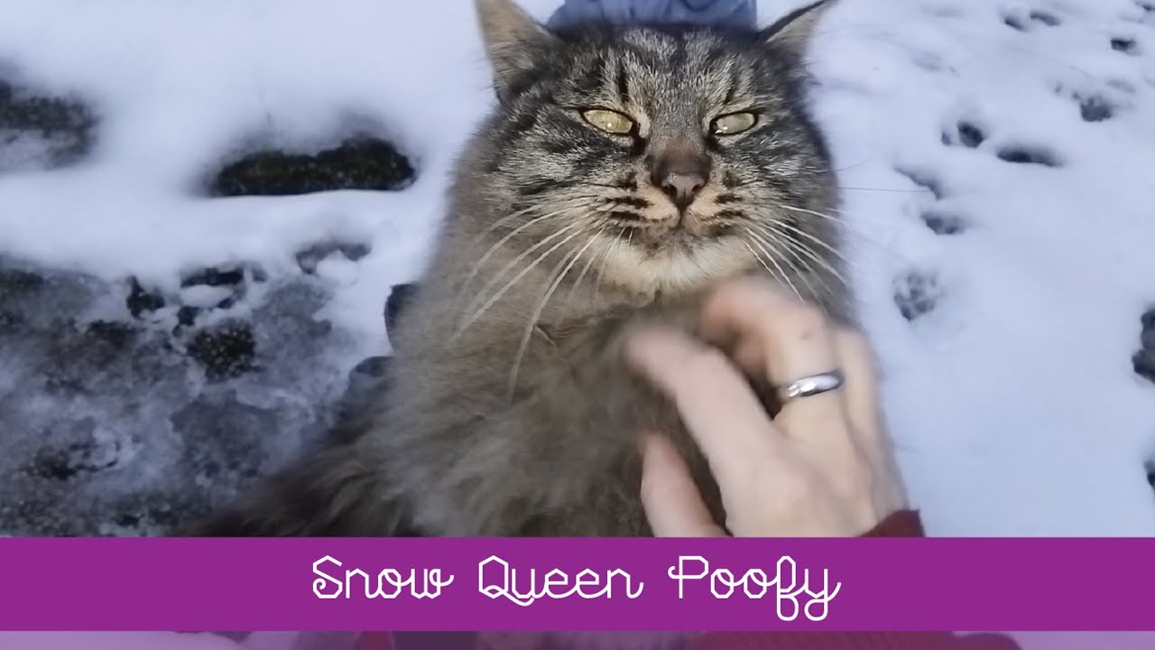 ❄️ ❄️ Snow Queen Poofy ❄️ ❄️