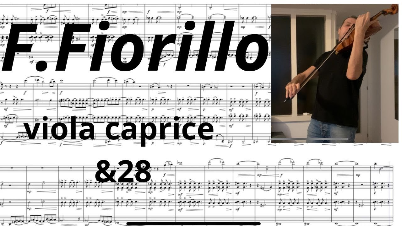 F.FIORILLO & 28, violin, VIOLA, etude.
