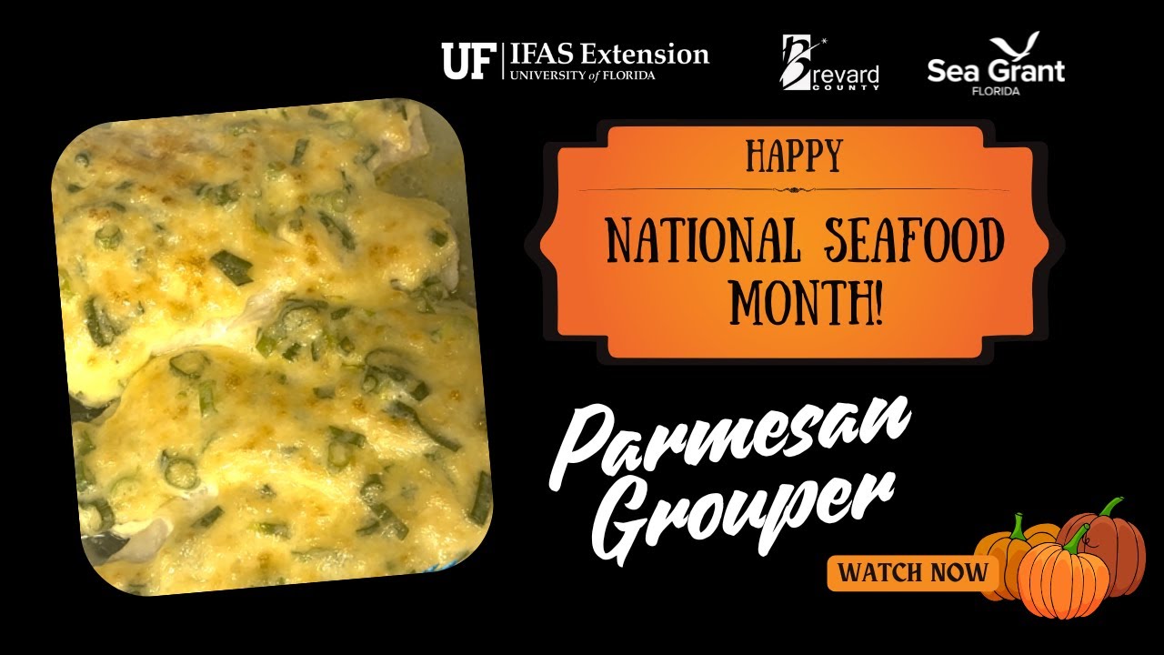 Baked Parmesan Grouper | National Seafood Month Recipe