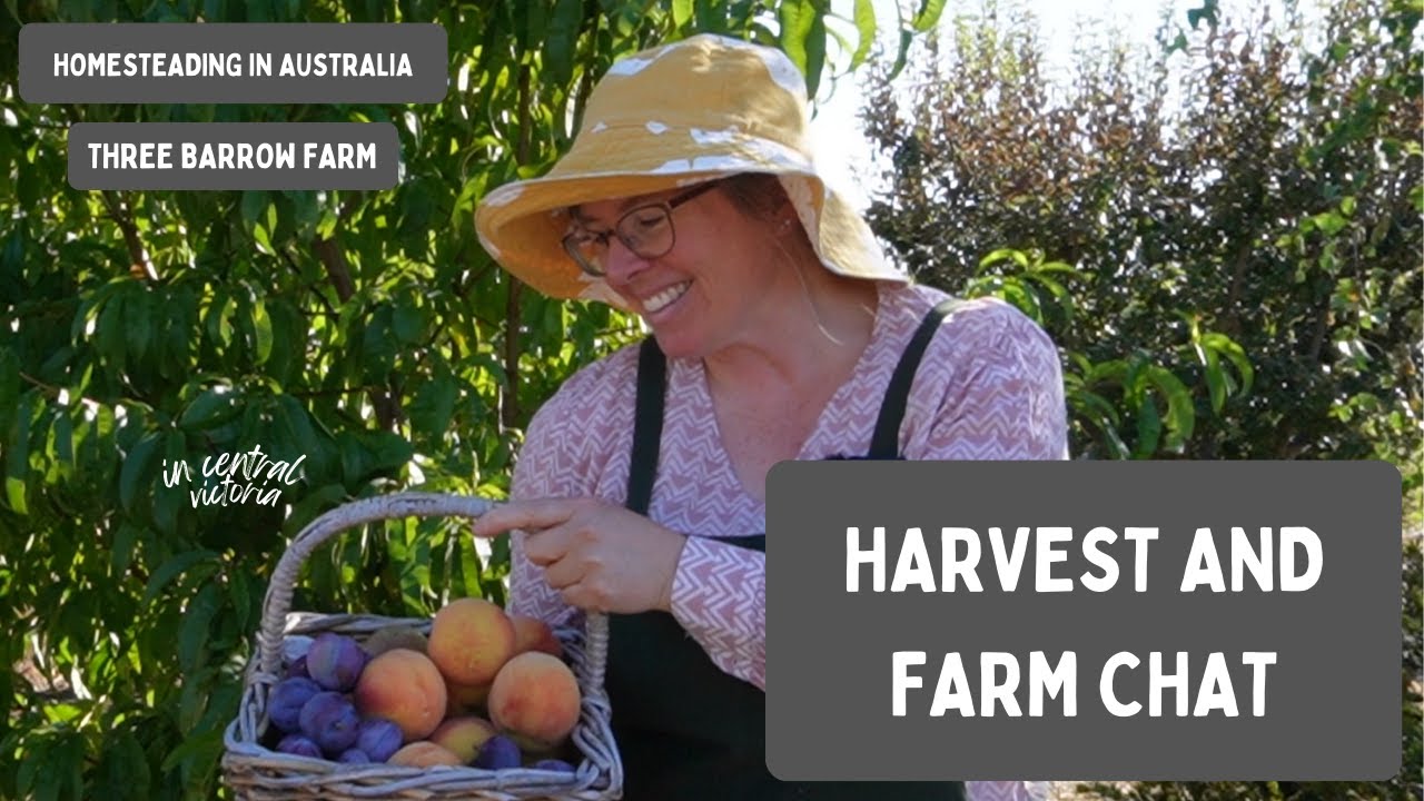Australian Homestead - Chat While I Harvest Peaches & Other Food, Victoria Australia - Cold Zone 9B