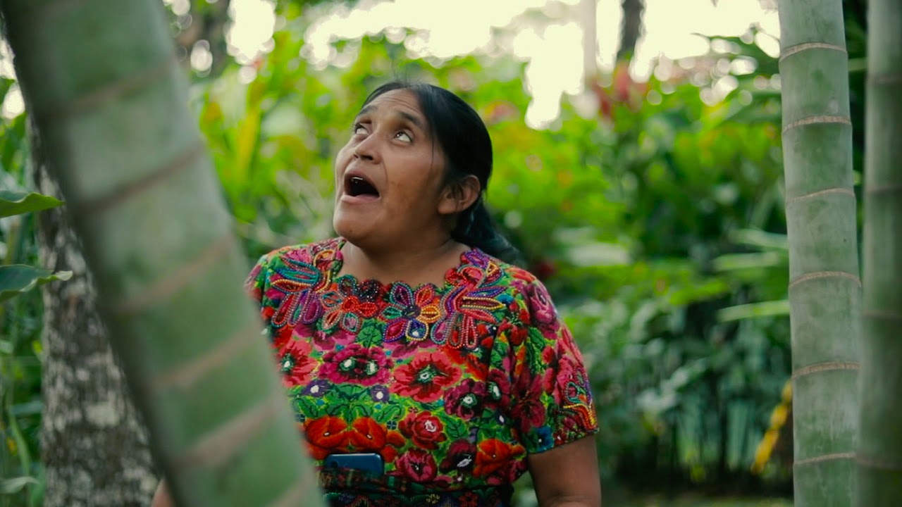 Solista: Alicia Vail Vail  -Todo el mundo busca-  Video Clip Vol:8