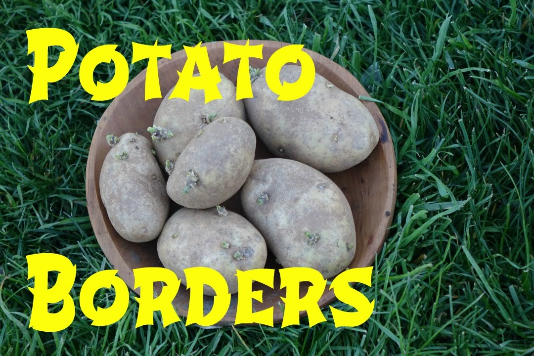 Using Potatoes to Resolve Border Conflicts: Breaking New Ground