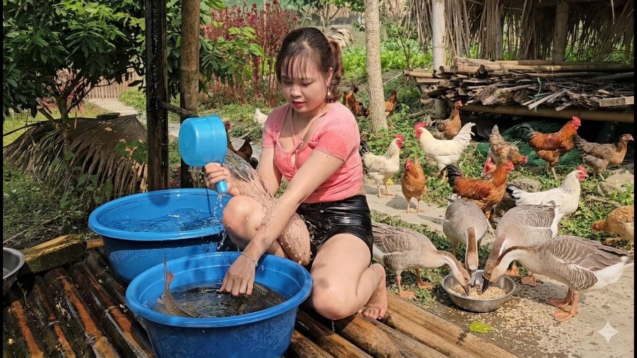Labor and simple joys on the farm of a Vietnamese country girl