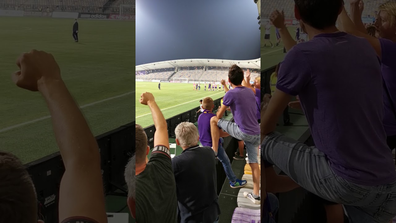 Viole after game Maribor vs Ludogorets