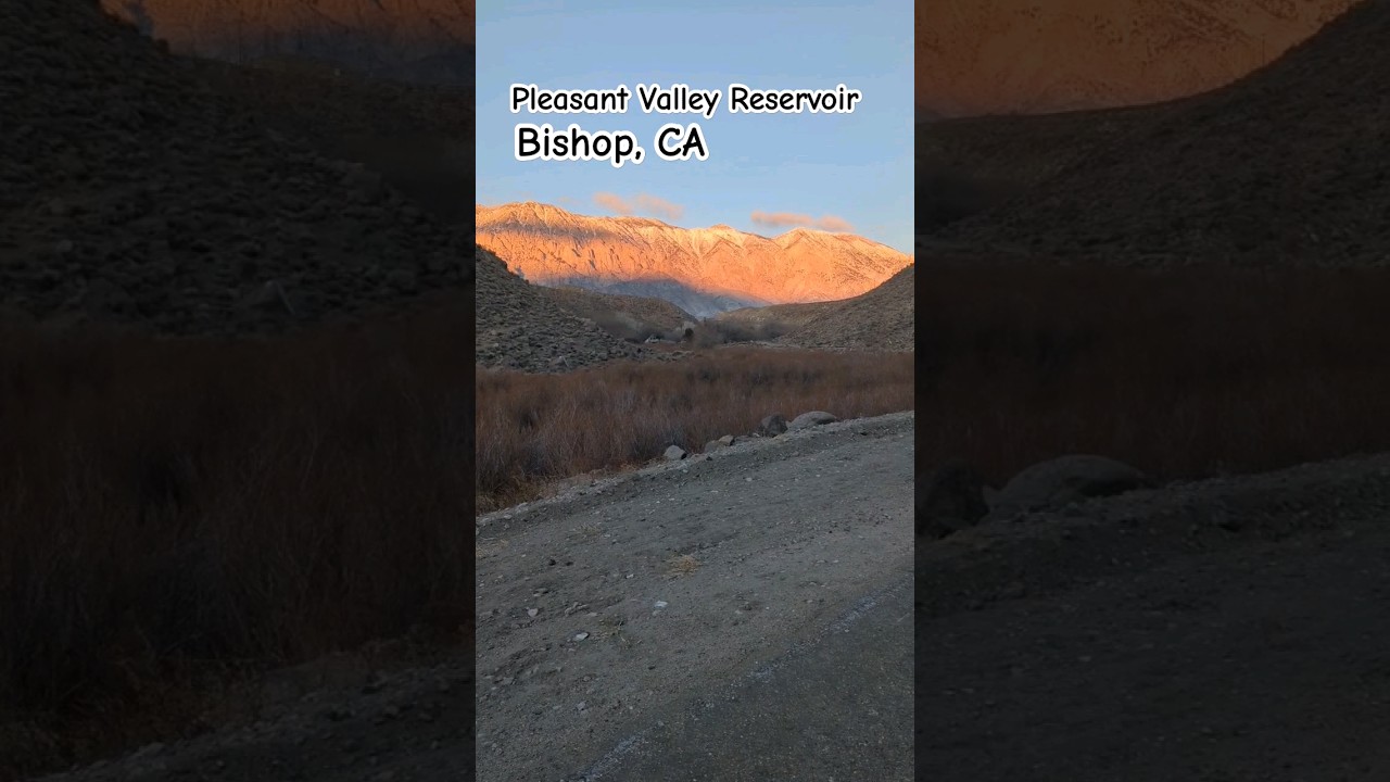 Frigid Winter Morning Pleasant Valley Reservoir #easternsierra #trout