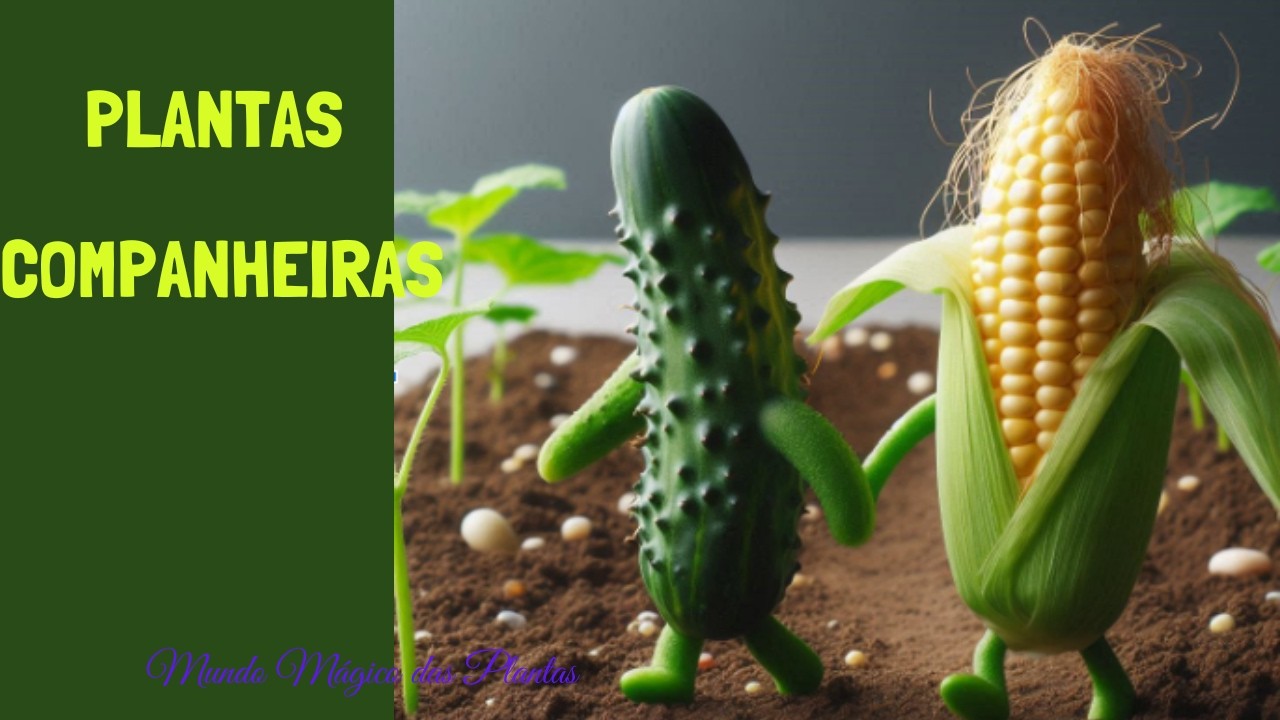 Plantas companheiras