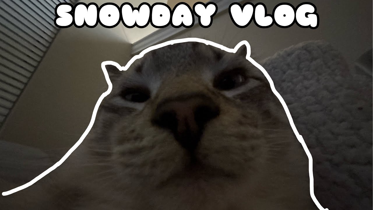Snowday Vlog