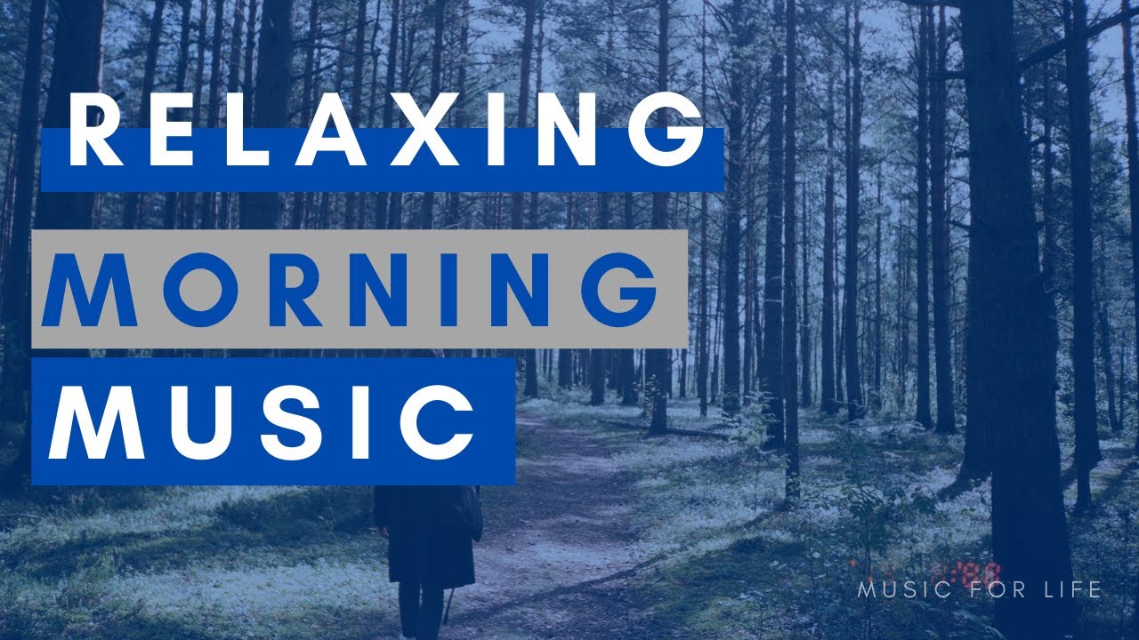 Relaxing Morning Music - Peaceful Soothing Drum Music - Calm Nature Mediations Music #MusicForLife