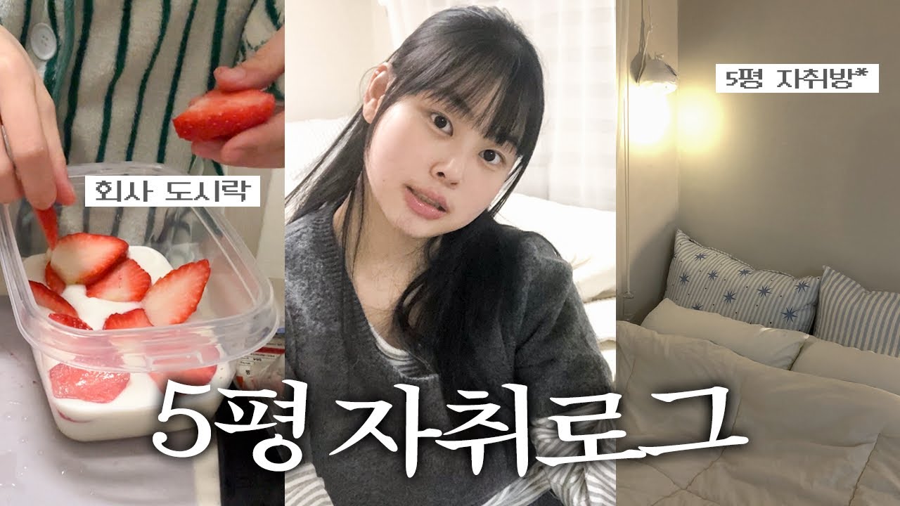 5평자취vlog 사회초년생의 월급날❤️ㅣ회사 도시락ㅣ출근룩ㅣ배구직관