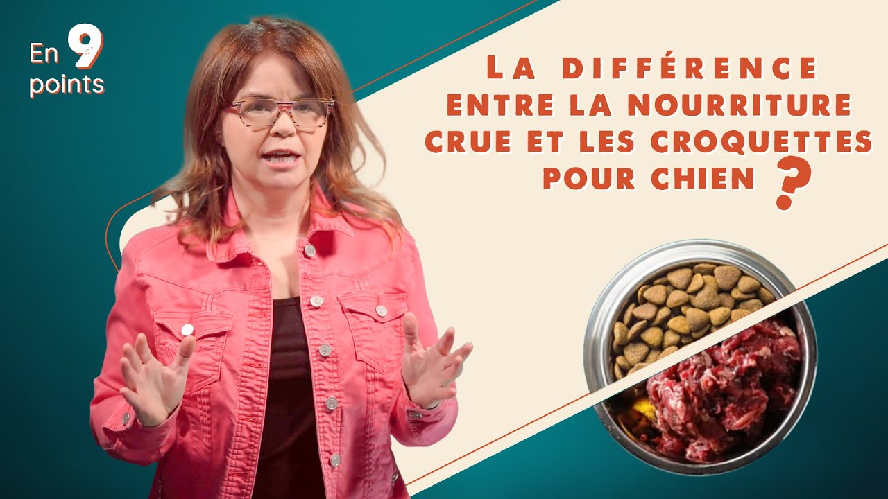La différence entre la nourriture crue et les croquettes pour chien