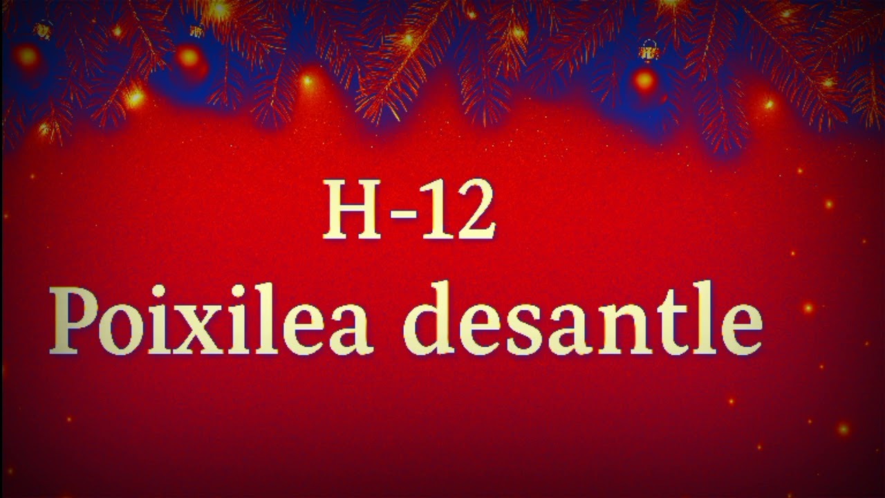 H-12 Poixilea Desantle (Version) 