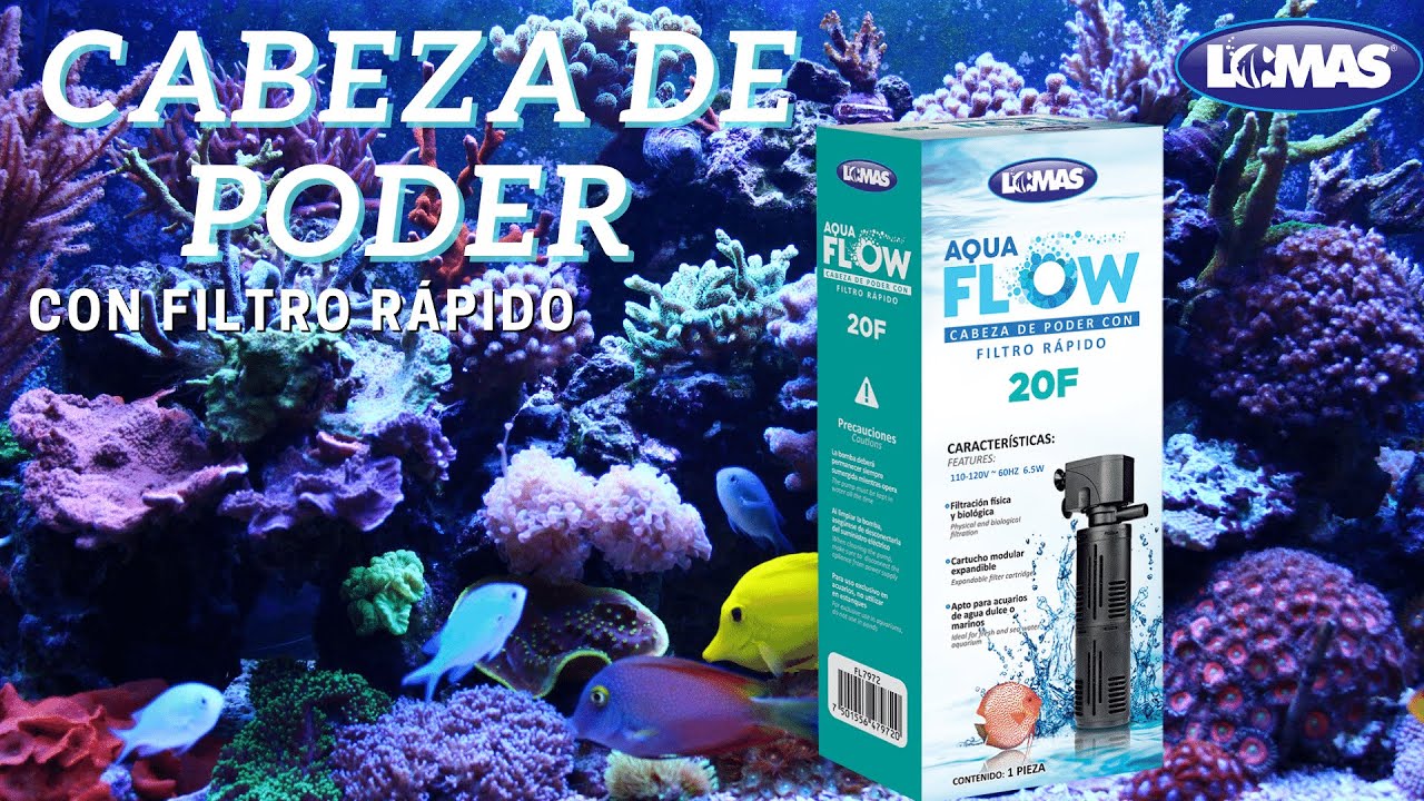 Aquaflow: Cabeza de poder con filtro rápido | Lomas