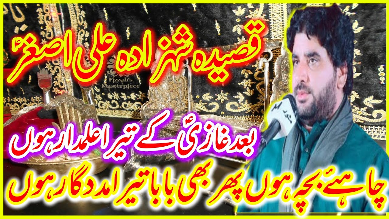 Bachpan Ap Ko Ali Ka Mein Asghar Dekha Rha Hon | Qasida Ali Asghar AS |Zakir Imran haider Kazmi