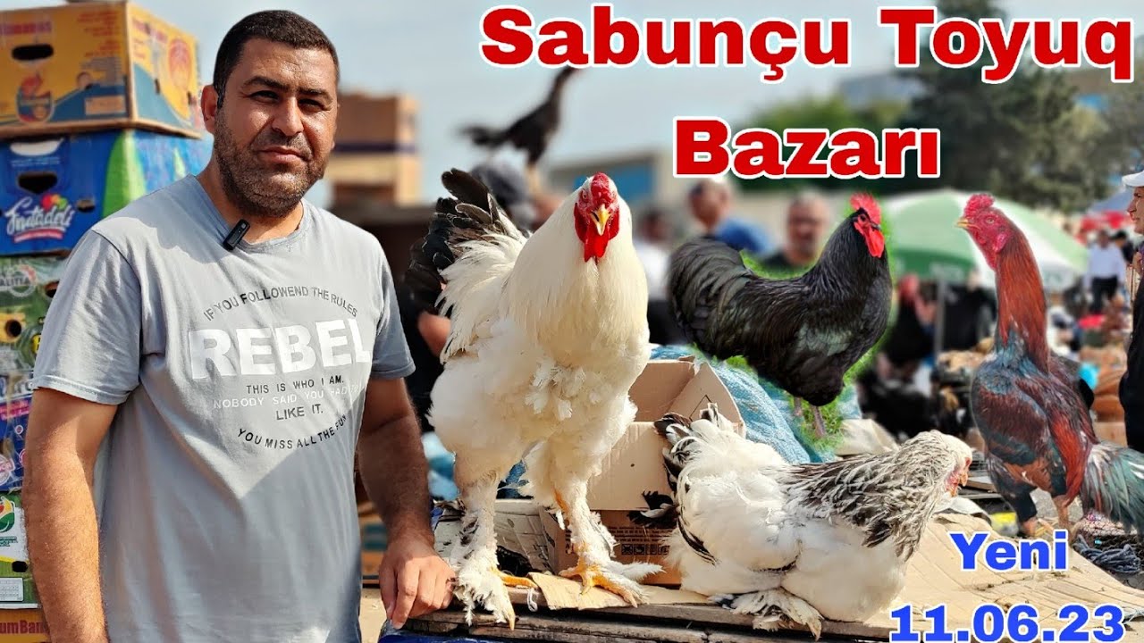 Sabunçu Toyuq Bazarı 11 iyun 23 @mubarizemintv2271 Yeni Çəkiliş 👍