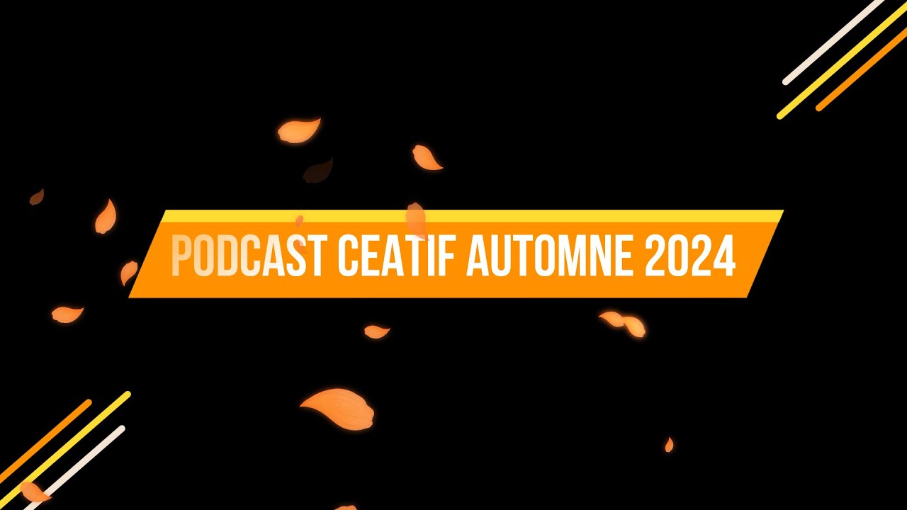 PODCAST CREATIF DE L'AUTOMNE 2024, Doll housses métalliques, mini briques, DP