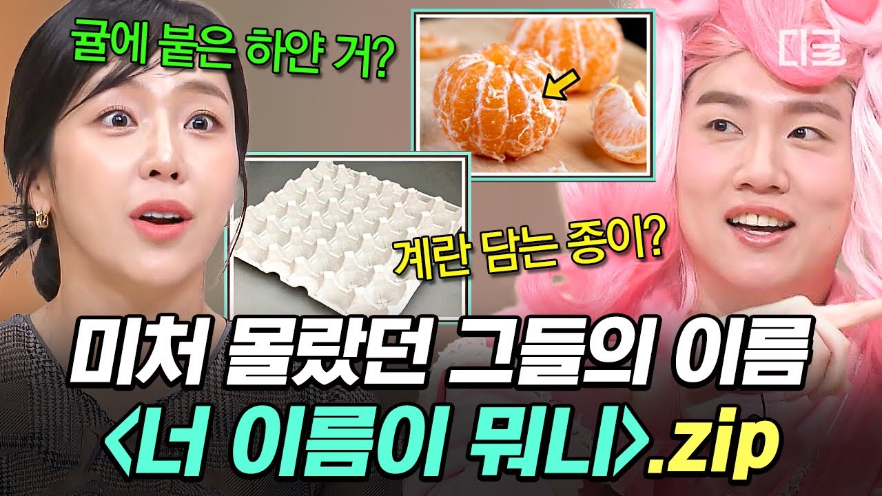 [#놀라운토요일] 이게 이름이 따로 있었어❓ 같이 풀어요 기상천외 오답 난무하는 너 이름이 뭐니~?.zip📁