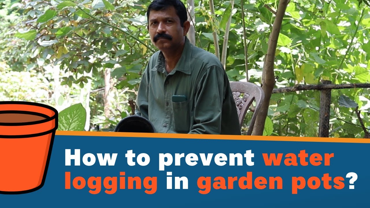 How to prevent water logging in garden pots?