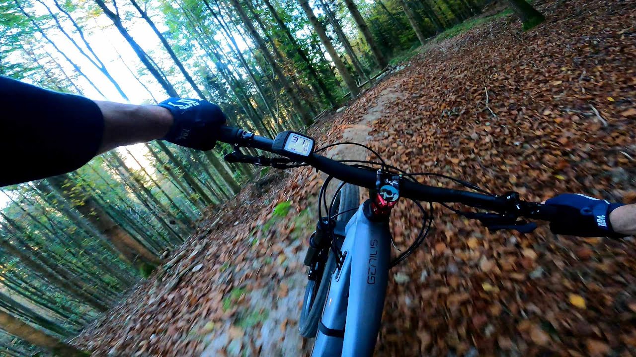 Flowtrail Urbach 01.11.2024