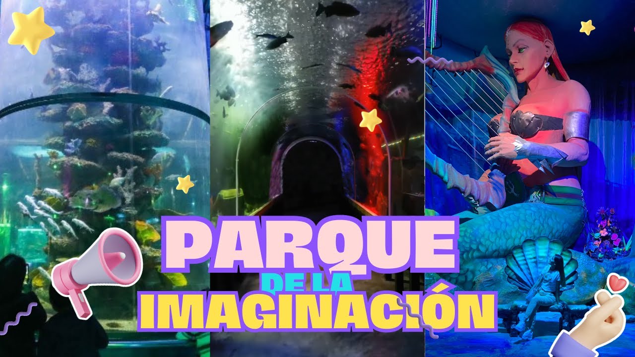 PARQUE DE LA IMAGINACIÓN💜: Conoce uno de los acuarios más grandes del país