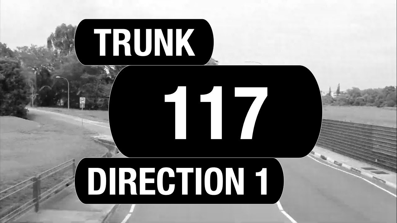 SBS Transit Trunk 117 (Direction 1) (BFTP 2019) | Bus Service Route Visual