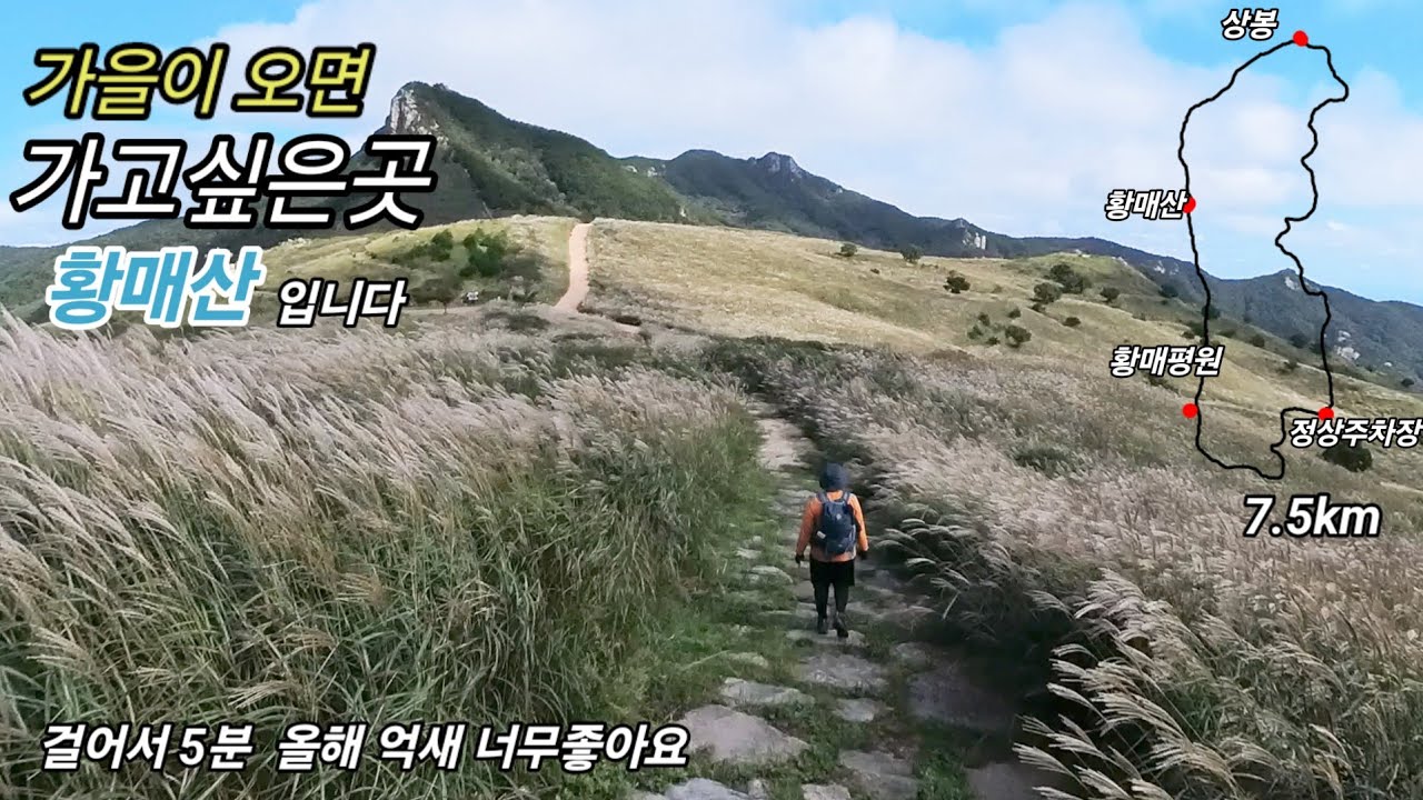 2024년 9월 27일/황매산 억새보러오세요 올해 너무 좋아요/합천호까지 볼수 있는 상봉코스/