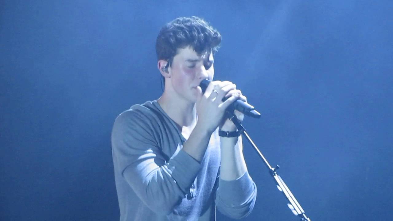 Like This by Shawn Mendes