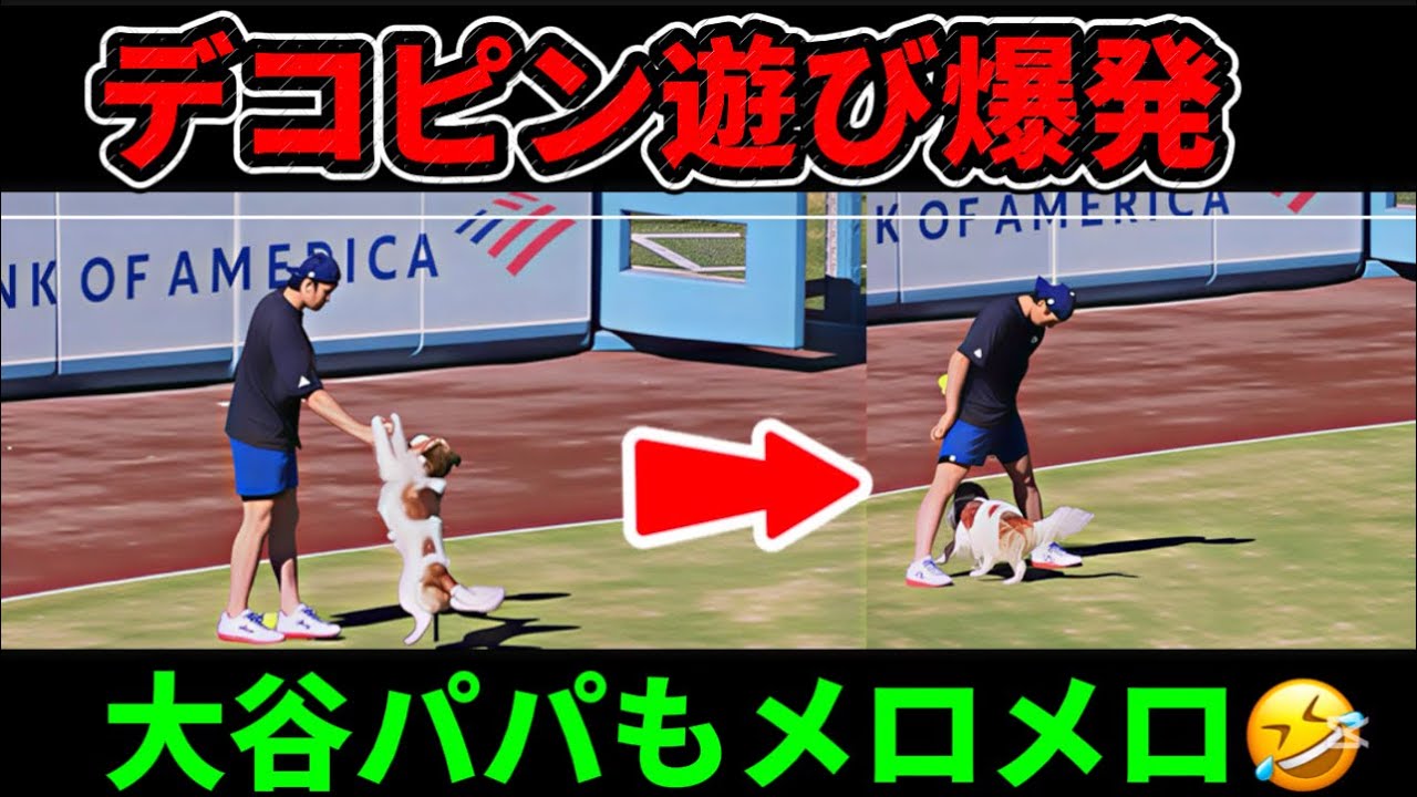 デコピン遊び爆発💨大谷パパもメロメロ😂
